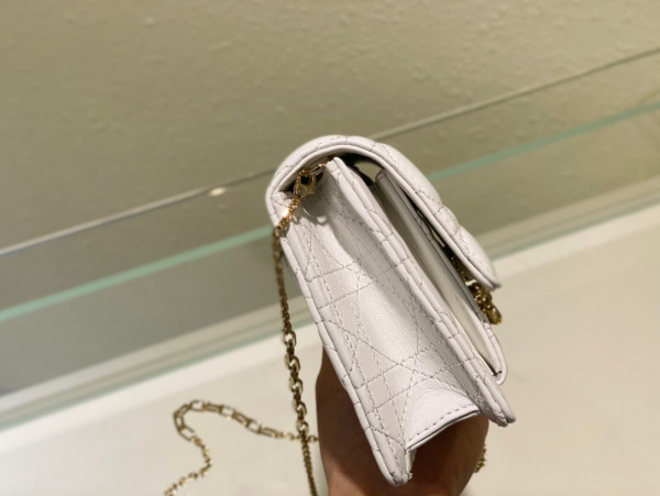 D*or lady D*or chain pouch