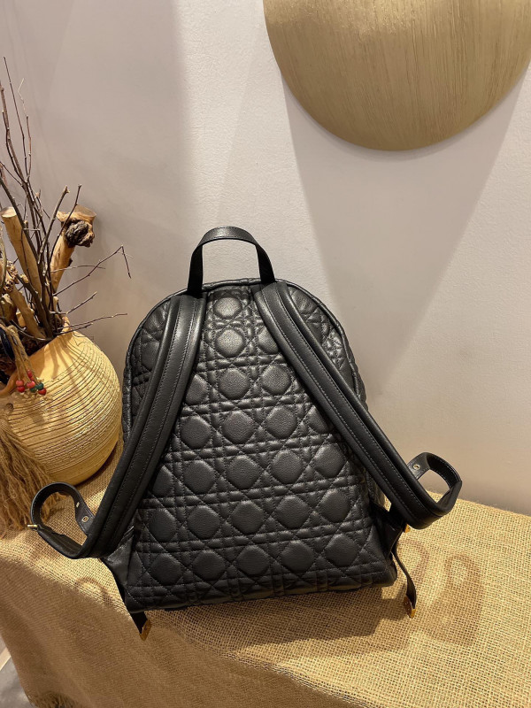 D*or backpack