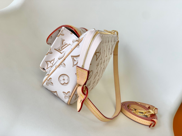 l**is V*t*n maxi multi pochette accessoires