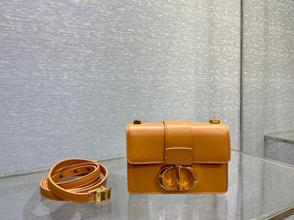 D*or 30 montaigne bag
