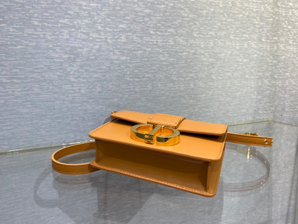 D*or 30 montaigne bag