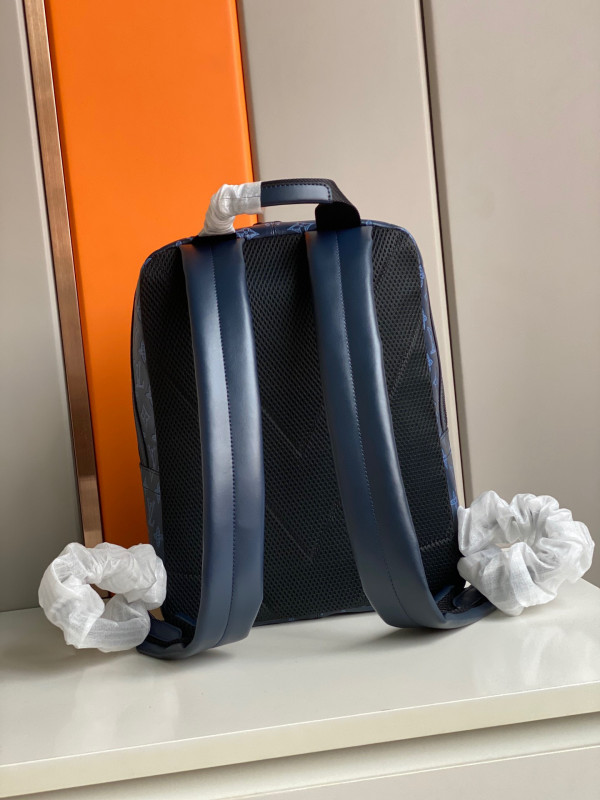 l**is V*t*n sprinter backpack