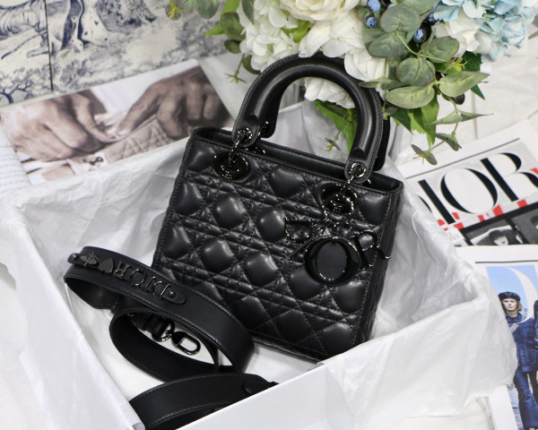 lady D*or my abcD*or bag-20cm
