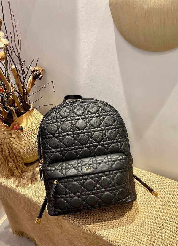 D*or backpack
