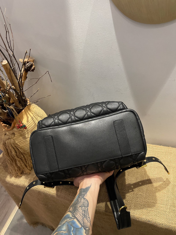 D*or backpack