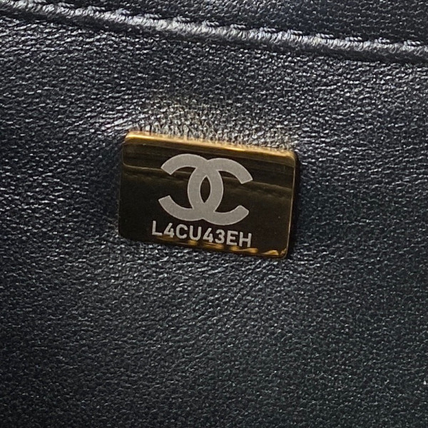 CL HOBO HANDBAG