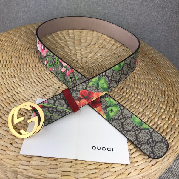 G*u*i belt