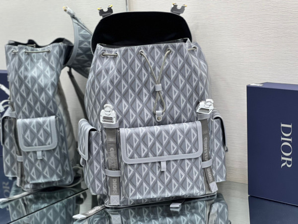 D*or hit the road backpack