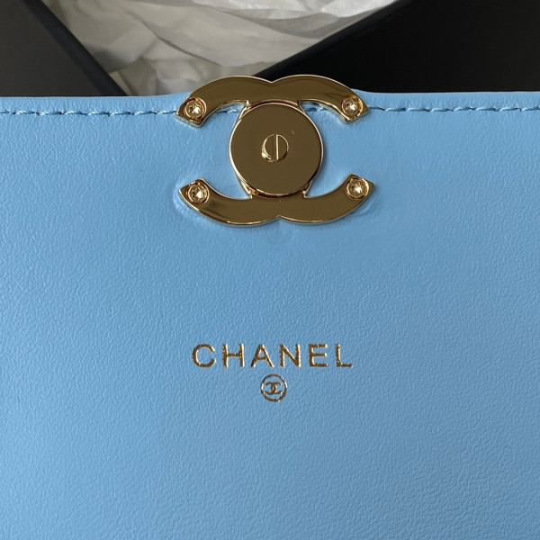 CL CLUTCH WITH CHAIN