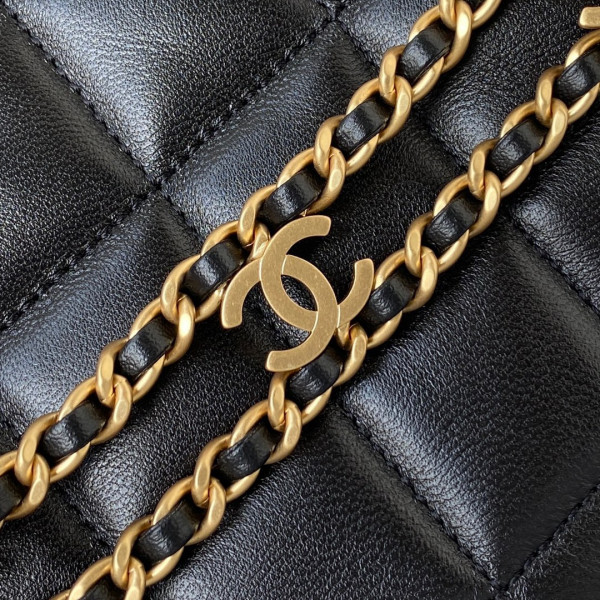 CL SMALL HOBO BAG