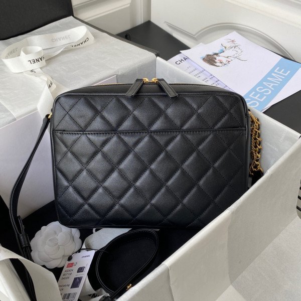 CL camera bag