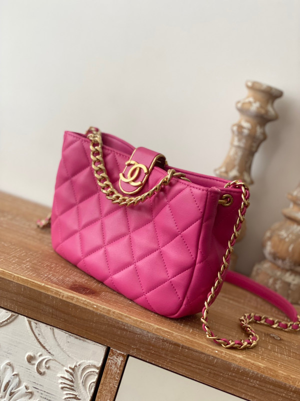 CL HOBO HANDBAG