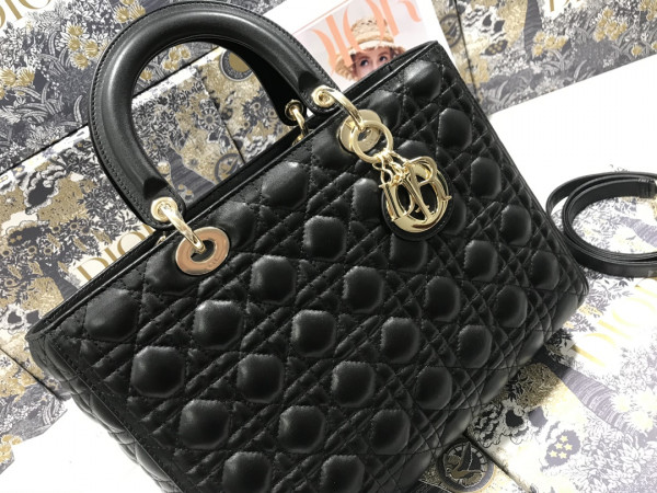 large lady D*or bag