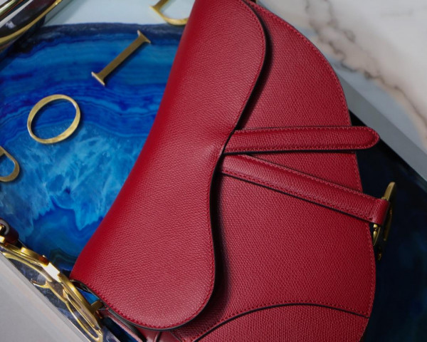 D*or saddle bag