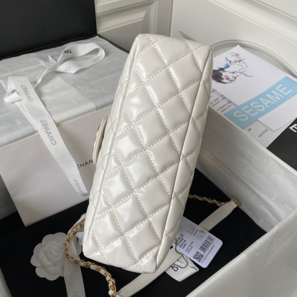 CL HOBO HANDBAG
