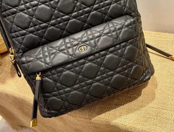 D*or backpack