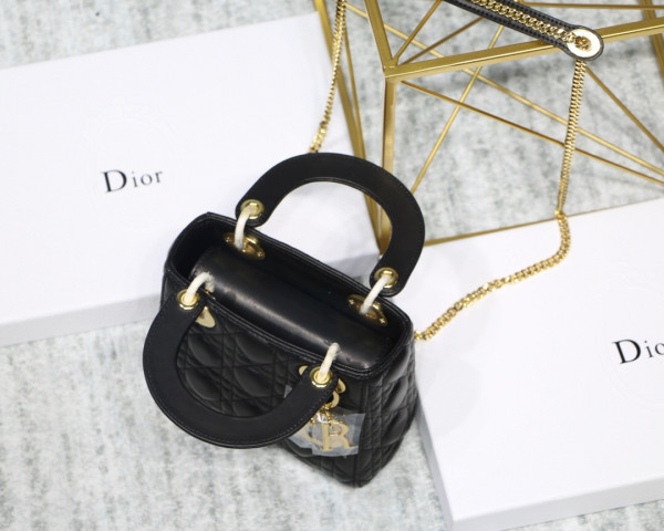 lady D*or mini with lambskin