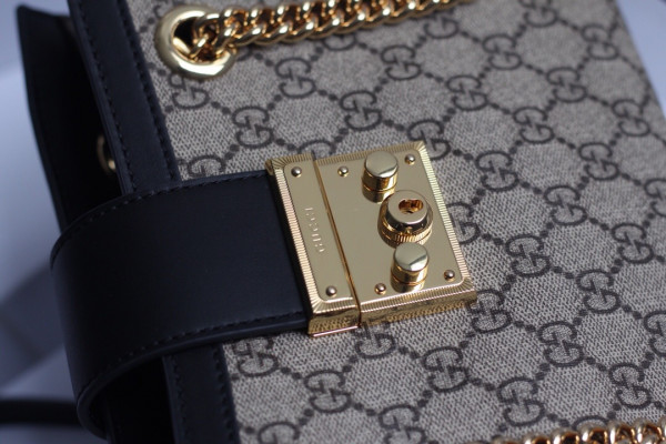 G*u*i padlock