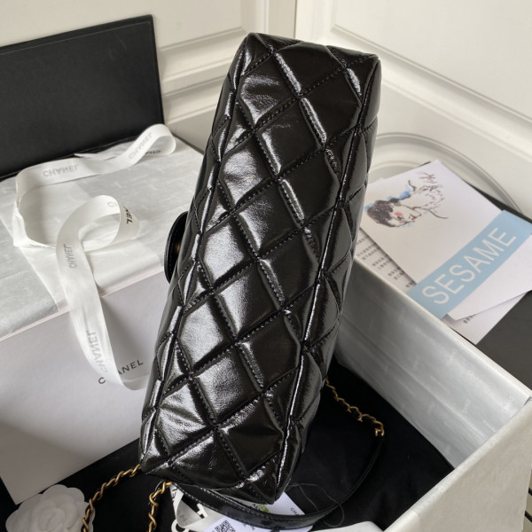CL HOBO HANDBAG