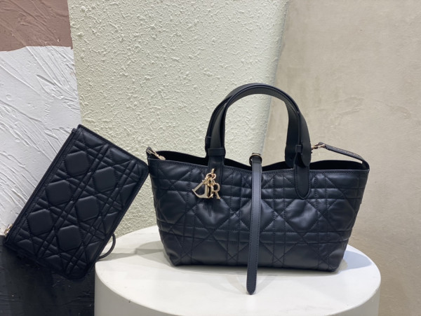 D*or small toujours bag