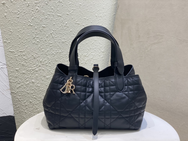 D*or small toujours bag