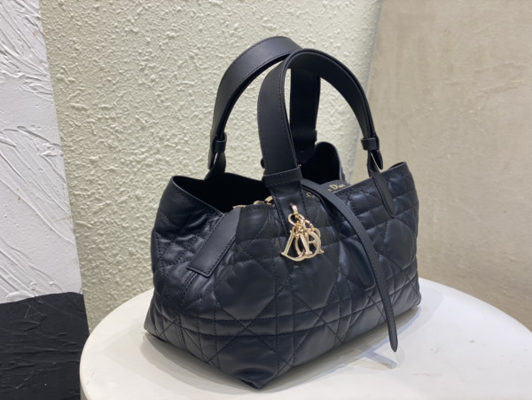 D*or small toujours bag