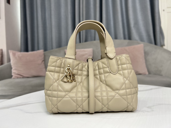 D*or small toujours bag