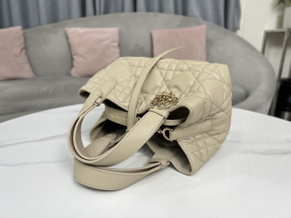 D*or small toujours bag
