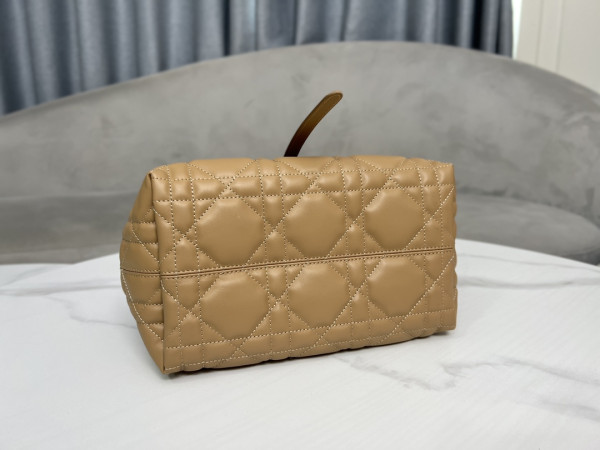 D*or small toujours bag