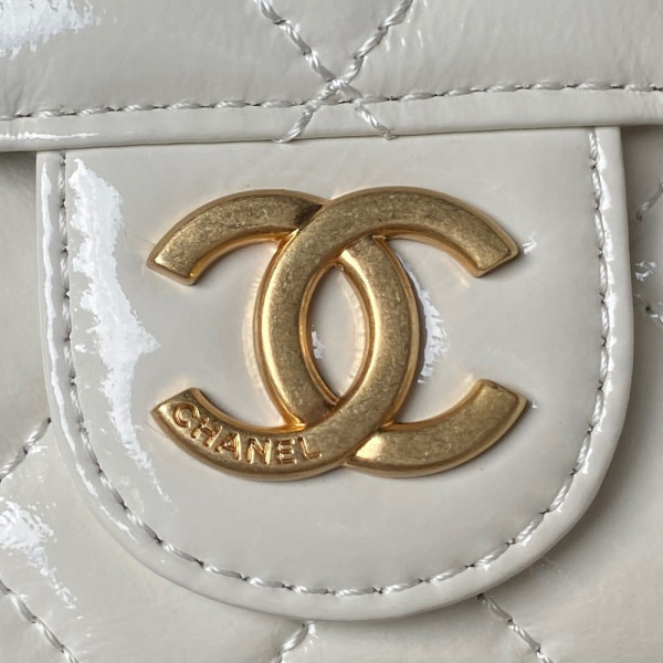 CL SMALL HOBO HANDBAG