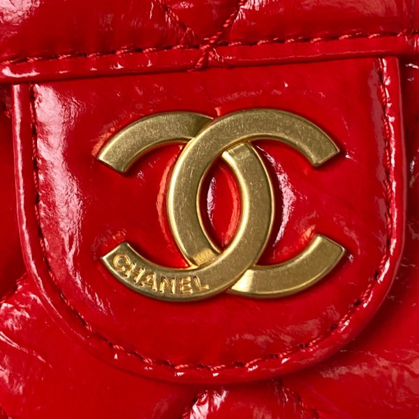 CL SMALL HOBO HANDBAG