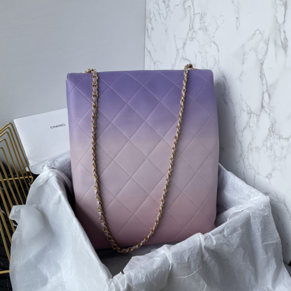 CL LARGE HOBO BAG