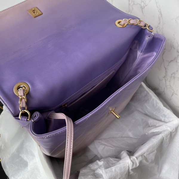 CL LARGE HOBO BAG