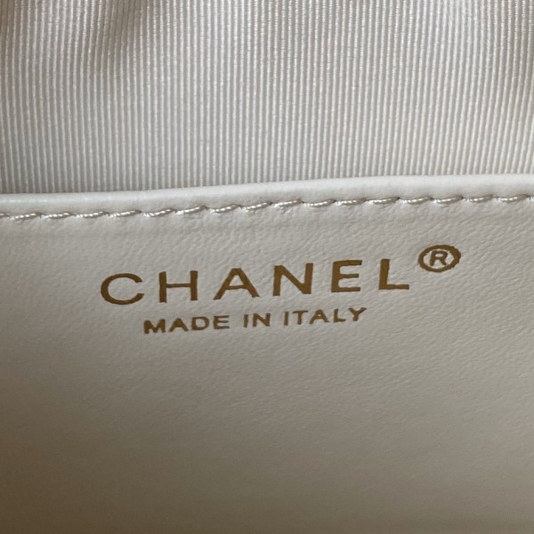 CL HOBO BAG