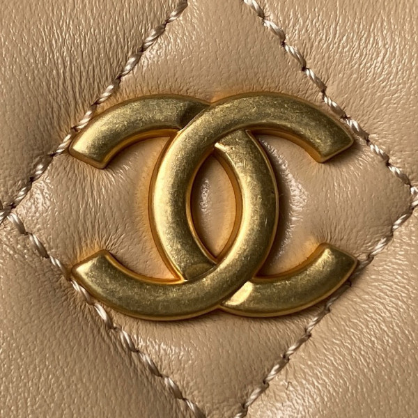 CL HOBO HANDBAG