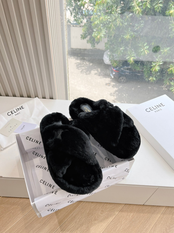 Ce**e slides