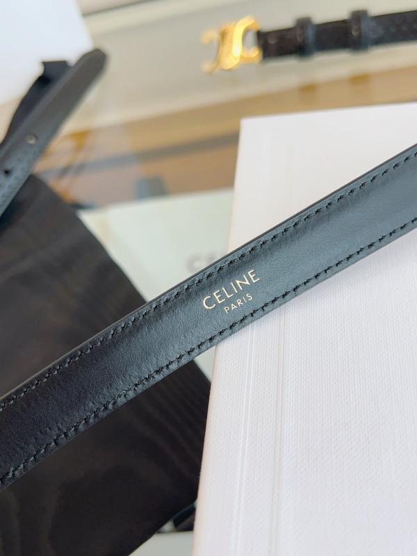 Ce**e belt-gold/silver